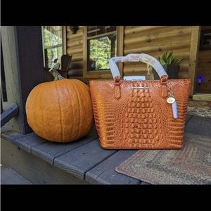 Brahmin Medium Asher